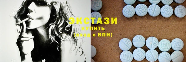 ECSTASY Богданович