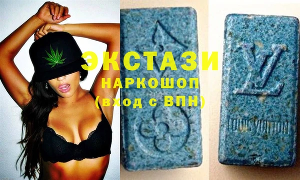 ECSTASY Богданович